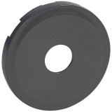 Накладка Celiane, телевизнионная (TV), спутниковая (SAT), радио (R), одинарная, цвет графит 067982 Legrand