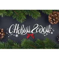 С Новым годом! (График работы)